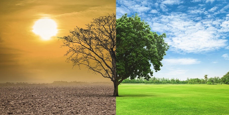 India Enforces Benefit Sharing System for Utilization and Access to Biological Resources