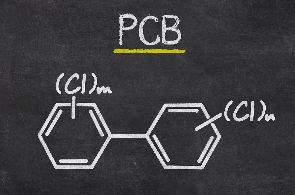 Indonesia enforces strict rules for PCBs management